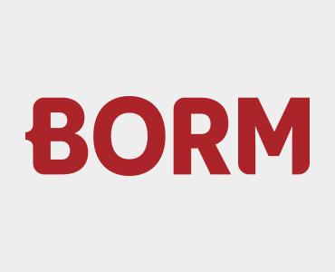 BORM-INFORMATIK AG / WDV-INFORMATIK AG